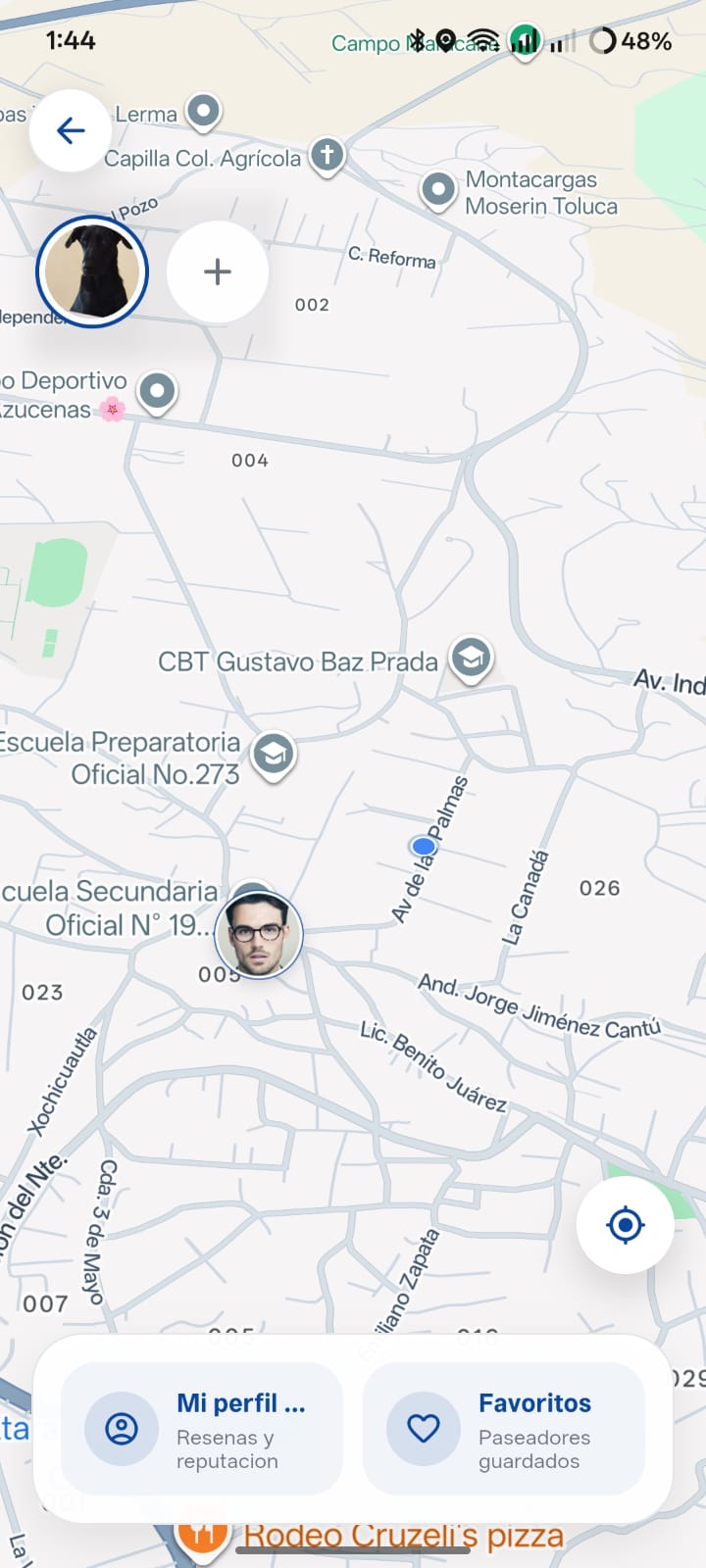 Mapa en vivo de PatitasGo